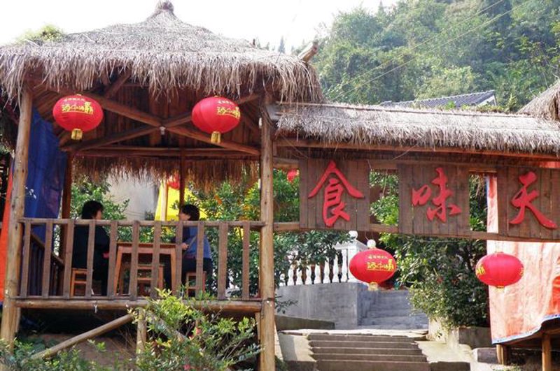 生态盛宴：有机蔬菜采摘季